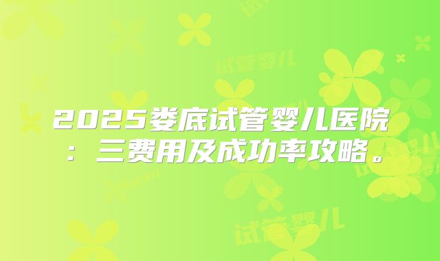 2025娄底试管婴儿医院：三费用及成功率攻略。