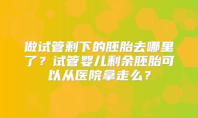 做试管剩下的胚胎去哪里了？试管婴儿剩余胚胎可以从医院拿走么？
