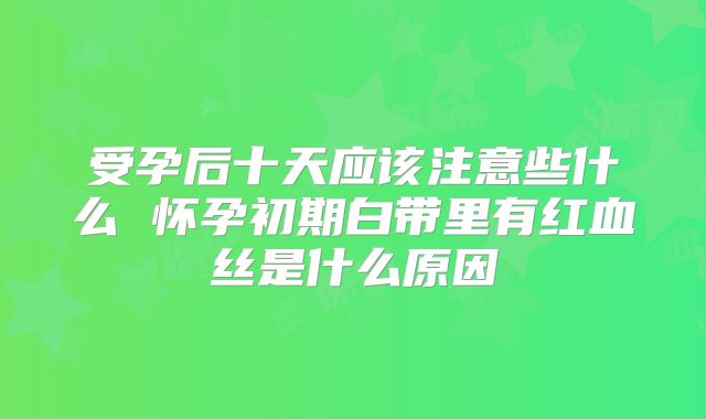 受孕后十天应该注意些什么 怀孕初期白带里有红血丝是什么原因