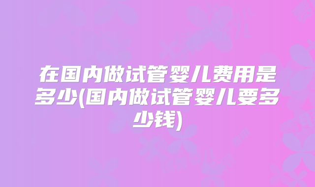 在国内做试管婴儿费用是多少(国内做试管婴儿要多少钱)