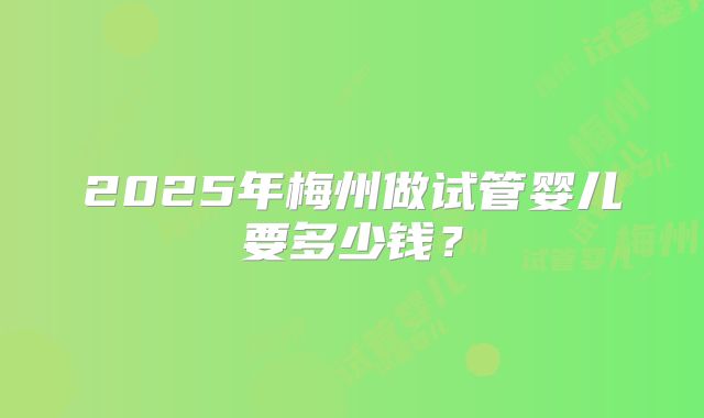2025年梅州做试管婴儿要多少钱？
