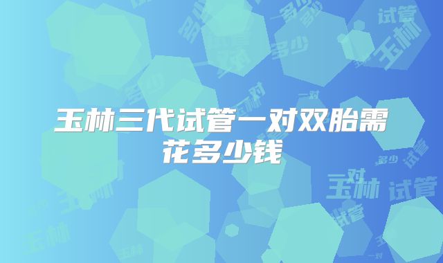 玉林三代试管一对双胎需花多少钱