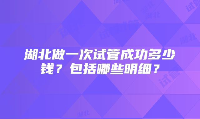湖北做一次试管成功多少钱？包括哪些明细？