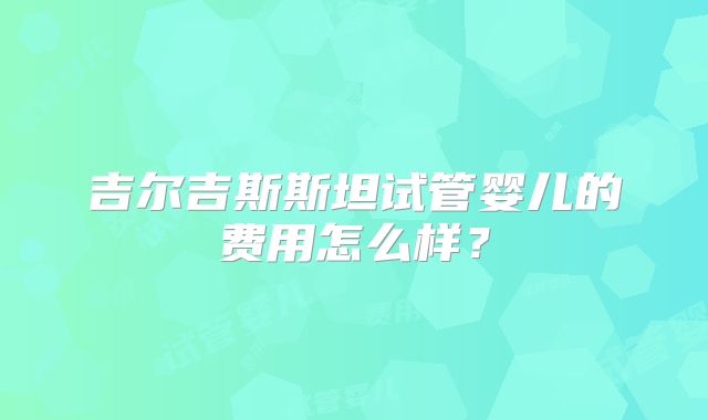 吉尔吉斯斯坦试管婴儿的费用怎么样？