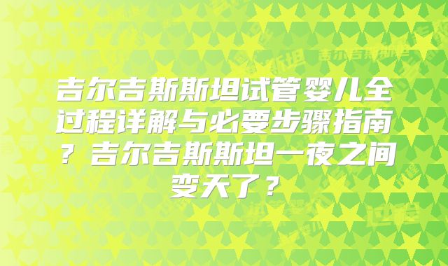 吉尔吉斯斯坦试管婴儿全过程详解与必要步骤指南？吉尔吉斯斯坦一夜之间变天了？