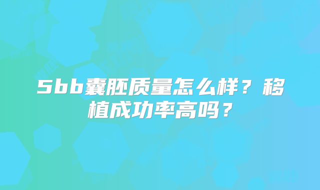5bb囊胚质量怎么样?移植成功率高吗?