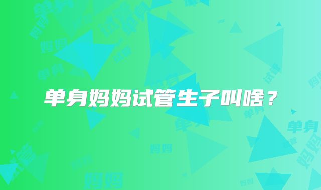 单身妈妈试管生子叫啥？