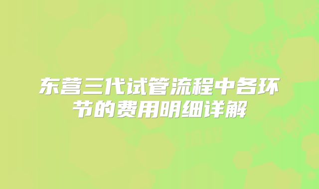 东营三代试管流程中各环节的费用明细详解