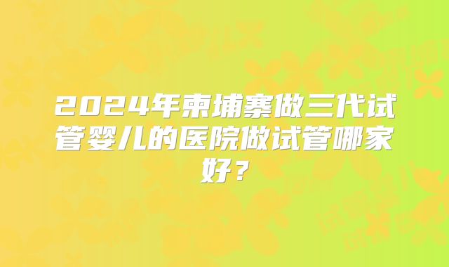 2024年柬埔寨做三代试管婴儿的医院做试管哪家好？