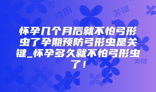 怀孕几个月后就不怕弓形虫了孕期预防弓形虫是关键_怀孕多久就不怕弓形虫了!