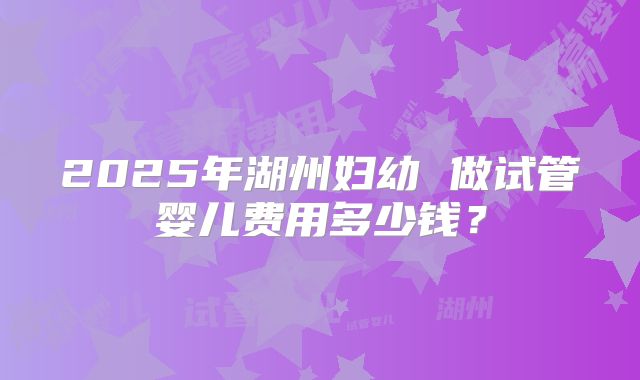 2025年湖州妇幼 做试管婴儿费用多少钱？