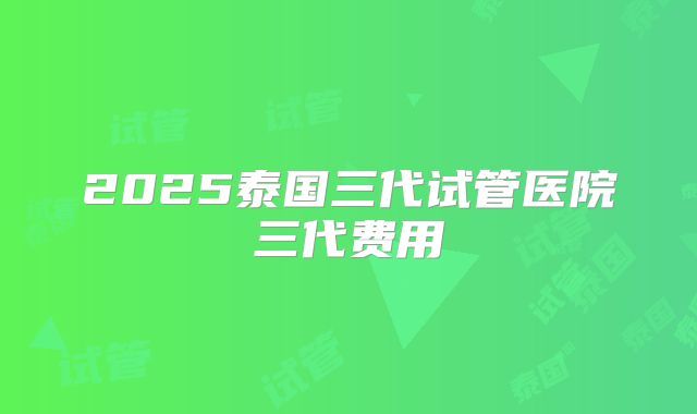 2025泰国三代试管医院三代费用