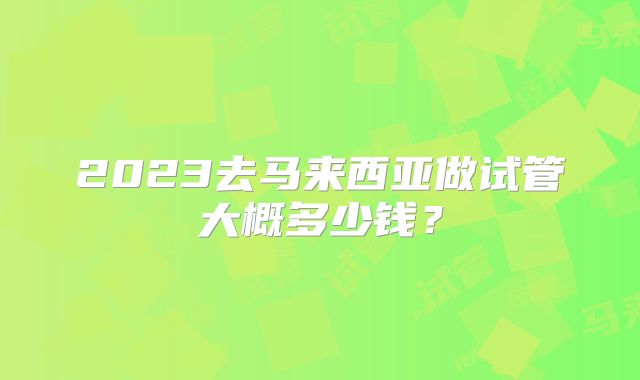 2023去马来西亚做试管大概多少钱？