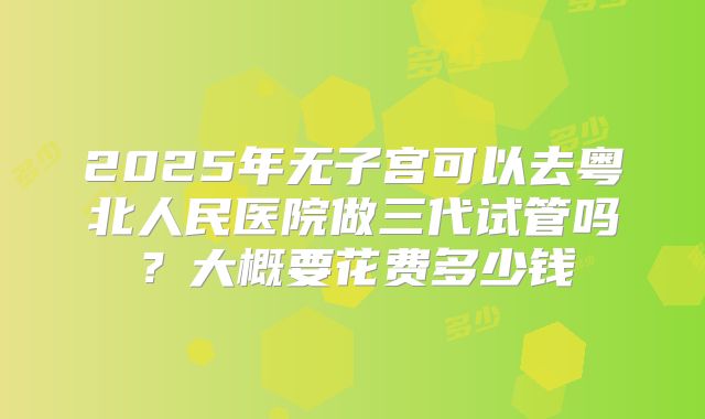 2025年无子宫可以去粤北人民医院做三代试管吗？大概要花费多少钱