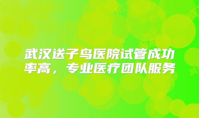 武汉送子鸟医院试管成功率高，专业医疗团队服务