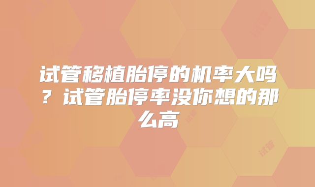 试管移植胎停的机率大吗？试管胎停率没你想的那么高