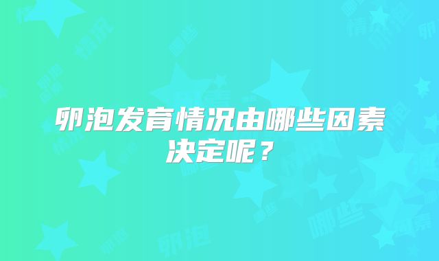 卵泡发育情况由哪些因素决定呢？