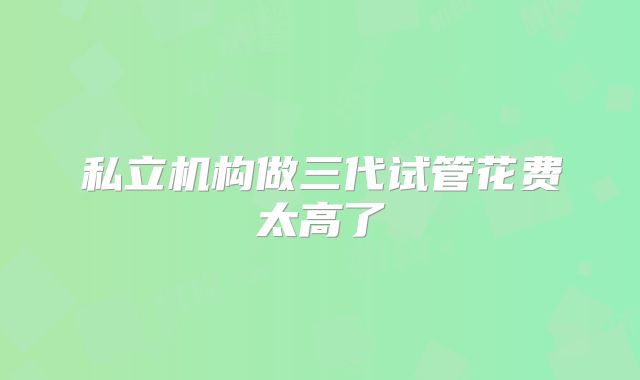 私立机构做三代试管花费太高了