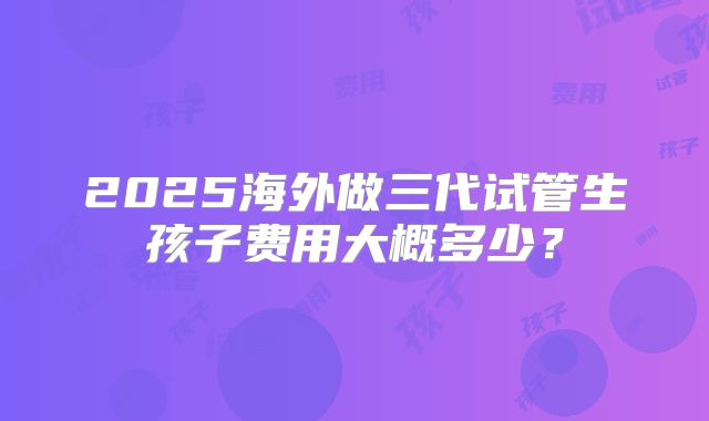 2025海外做三代试管生孩子费用大概多少？