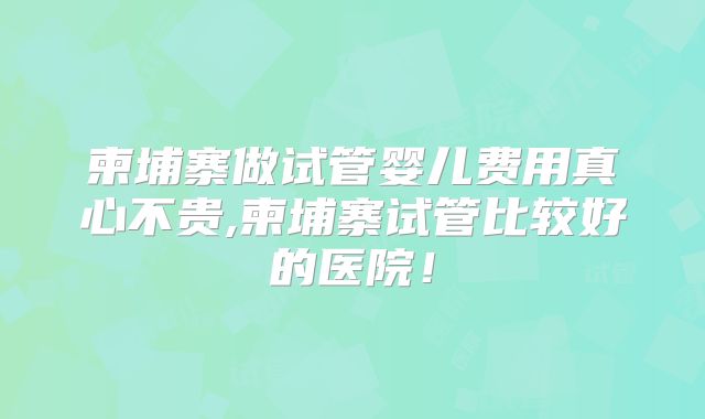 柬埔寨做试管婴儿费用真心不贵,柬埔寨试管比较好的医院!