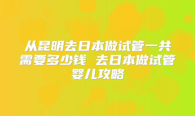 从昆明去日本做试管一共需要多少钱 去日本做试管婴儿攻略