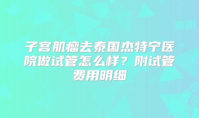 子宫肌瘤去泰国杰特宁医院做试管怎么样？附试管费用明细