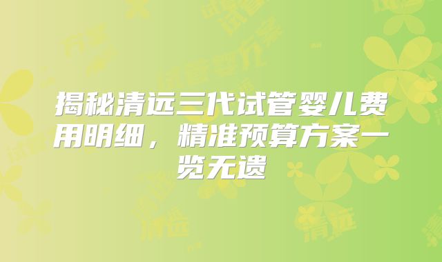 揭秘清远三代试管婴儿费用明细，精准预算方案一览无遗