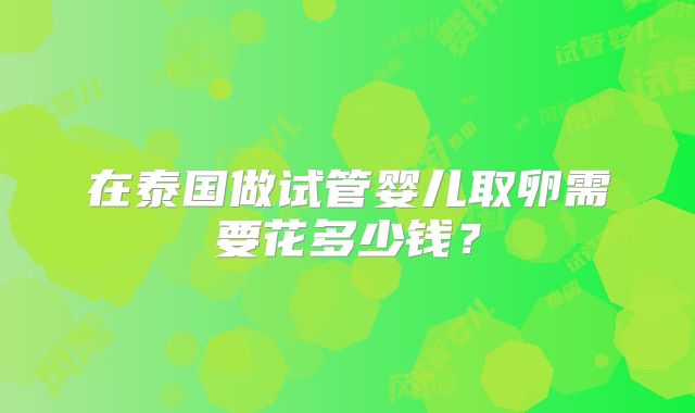 在泰国做试管婴儿取卵需要花多少钱？