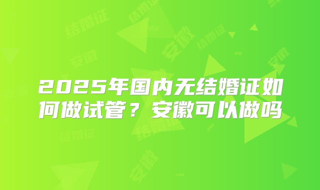 2025年国内无结婚证如何做试管？安徽可以做吗