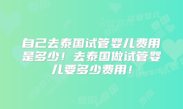 自己去泰国试管婴儿费用是多少！去泰国做试管婴儿要多少费用！