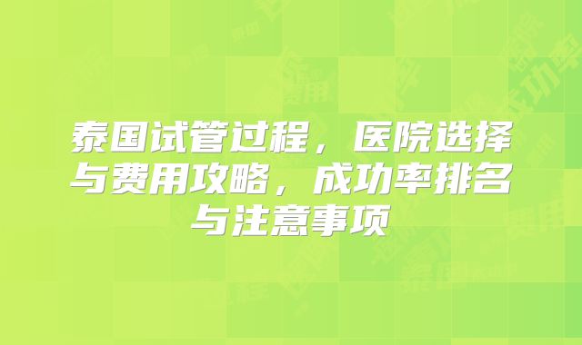 泰国试管过程，医院选择与费用攻略，成功率排名与注意事项
