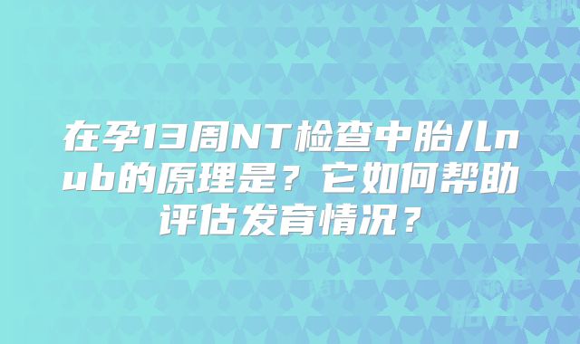 在孕13周NT检查中胎儿nub的原理是?它如何帮助评估发育情况?