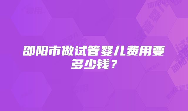 邵阳市做试管婴儿费用要多少钱？