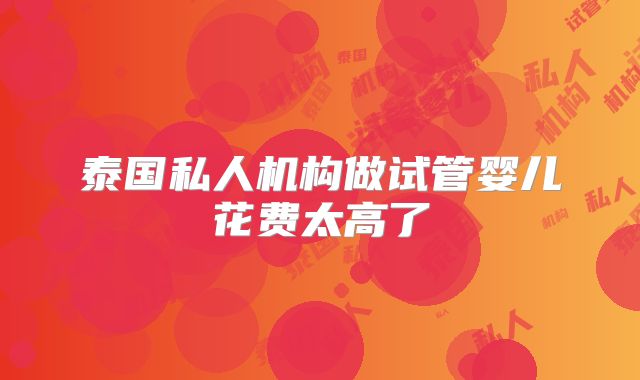 泰国私人机构做试管婴儿花费太高了