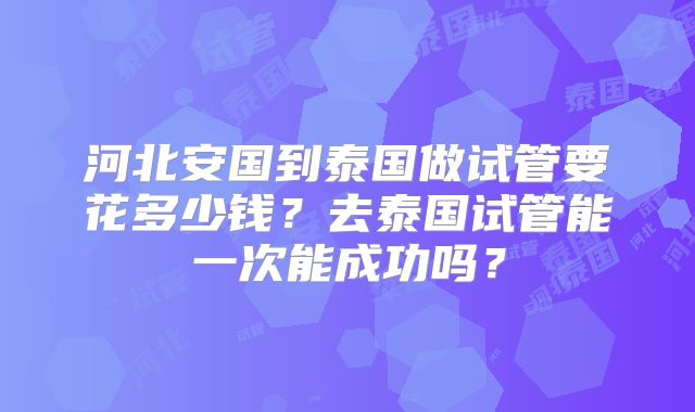 河北安国到泰国做试管要花多少钱?去泰国试管能一次能成功吗?