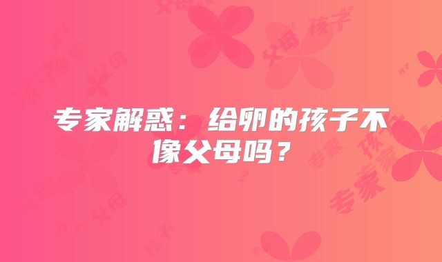 专家解惑：给卵的孩子不像父母吗？