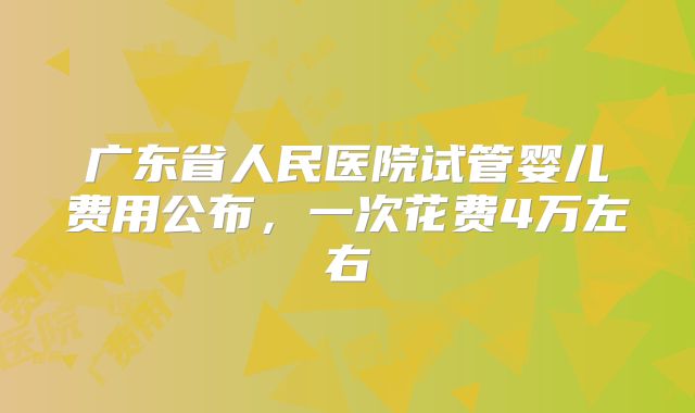 广东省人民医院试管婴儿费用公布，一次花费4万左右