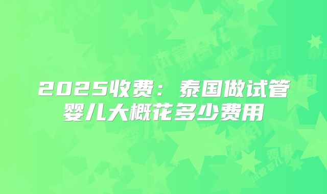 2025收费：泰国做试管婴儿大概花多少费用