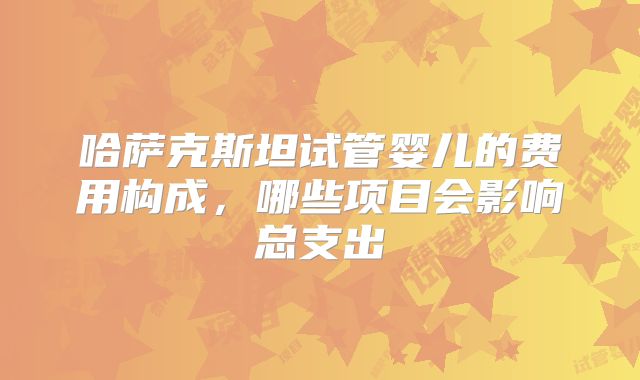 哈萨克斯坦试管婴儿的费用构成，哪些项目会影响总支出