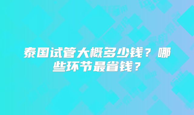 泰国试管大概多少钱？哪些环节最省钱？