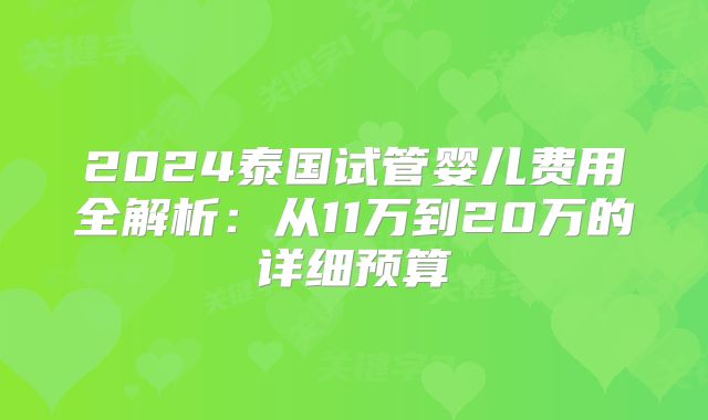 2024泰国试管婴儿费用全解析：从11万到20万的详细预算