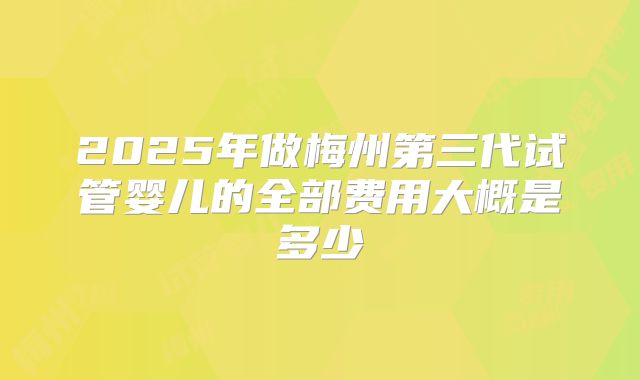 2025年做梅州第三代试管婴儿的全部费用大概是多少