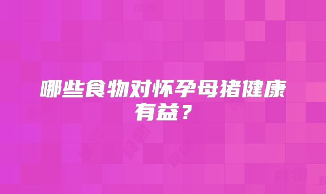 哪些食物对怀孕母猪健康有益？