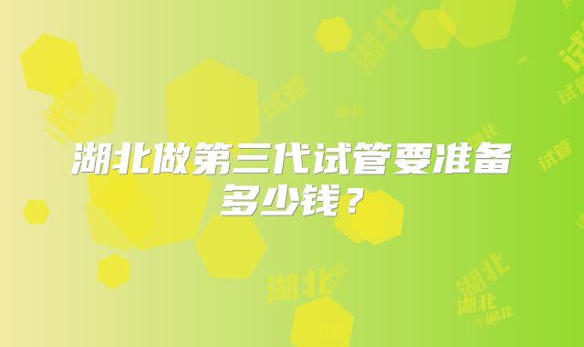 湖北做第三代试管要准备多少钱?