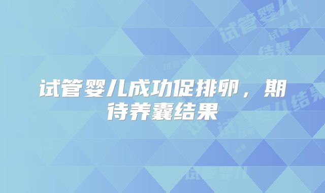 试管婴儿成功促排卵，期待养囊结果
