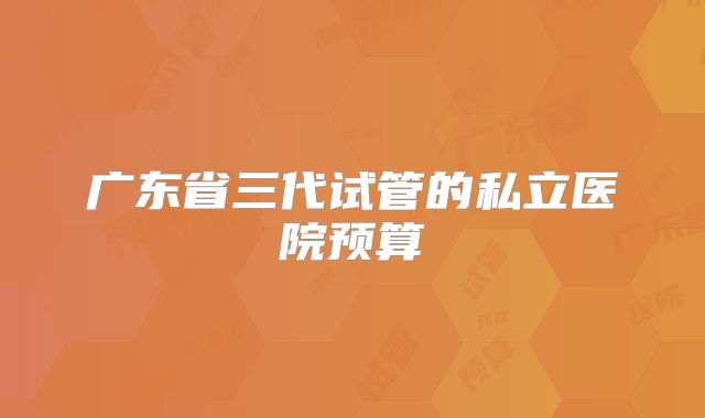 广东省三代试管的私立医院预算