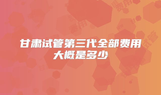 甘肃试管第三代全部费用大概是多少