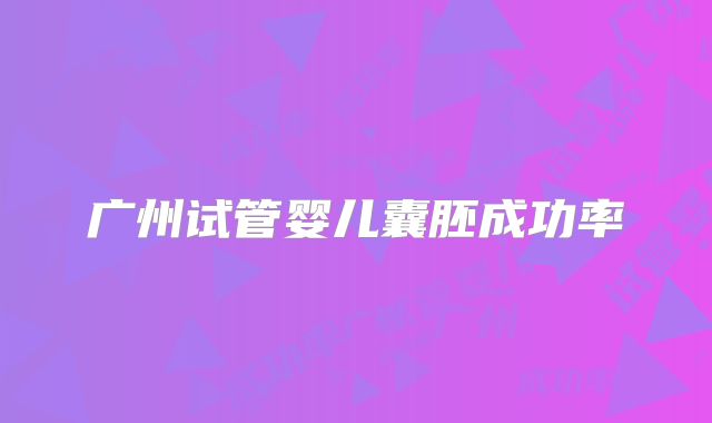 广州试管婴儿囊胚成功率