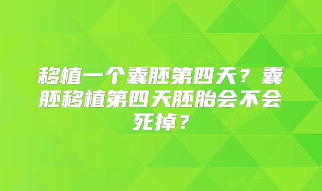 移植一个囊胚第四天？囊胚移植第四天胚胎会不会死掉？