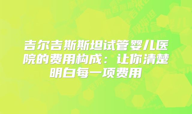 吉尔吉斯斯坦试管婴儿医院的费用构成：让你清楚明白每一项费用